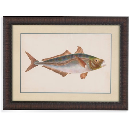 Donovan Antique Fish III